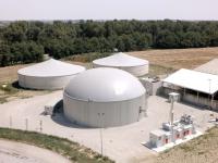 From Meat to Biomass: The Circular Future of Animal Husbandry