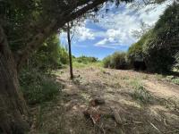 Group seeks support in readying St David’s beauty spot