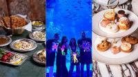 8 things to do in Abu Dhabi this week: August 17 to 20
