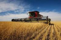 Armenia`s agricultural sector has suffered a double-digit decline due to a significant drop in crop production