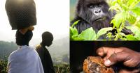 Seizing the Next Decade: A Proposed Prioritisation Framework for Rwanda’s Economic Growth