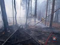 Belgium’s worst fire in recent history still burning in the High Fens national park on German border