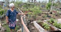 Farmers seek Bavi relief as crop-loss frustrations linger
