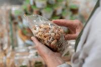 EU Packaging Regulation: What ASEAN Food Exporters Need to Know