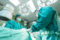 Five patients receive transplants from one Cypriot donor