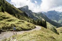 'I went to the French Alps on the trail of a rare bird with a huge wingspan'
