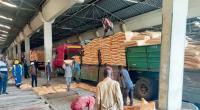 Forex woes threaten fertiliser price relief