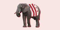 Yes, There Are Republican Candidates in DC’s Local Elections