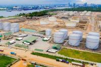 Revealed: Winners and losers as oil marketers battle for market share