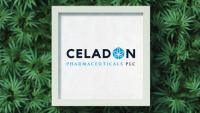 Birmingham cannabis firm faces administration after years of cash struggles