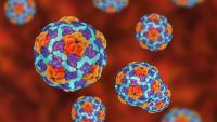 Urgent warning to parents as potentially deadly liver virus rips through town and sickens under-5s