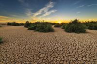 EU calls for global action to combat escalating drought and desertification