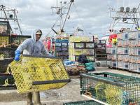 Nova Scotia seafood companies get $2.2 million to cut energy costs, emissions