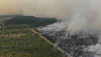 Belgium Wildfire Contained Near German Border As Low River Levels Threaten Construction Supplies