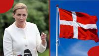 Denmark Lists 64 Jobs Open to Foreigners Seeking Work and Residence Permits
