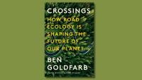 From "massive squishings" to the insect apocalypse, roads are terrorizing nature