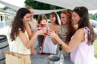 Southwest Michigan wine country is ready for its close-up