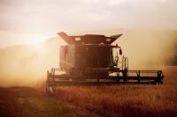 Europe’s Farmers Are Running Out of Time to Adapt to Extreme Heat