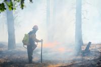 Indigenous-led wildfire recovery: How to support communities affected by wildfires