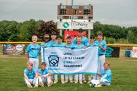 Little League World Series: Meet the 2026 teams headed to Williamsport