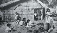 Mauritius — Birth Control or Starvation