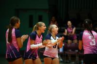 Photos: Volleyball Teams At ECVA Tournament