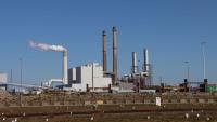 Belgian demand pushes Dutch coal plants to run harder