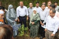 Tree plantation essential to combat climate change: Faridul Islam
