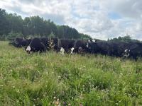 Manitoba hosts Canadian Beef Industry Conference for the first time