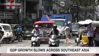 GDP growth slows in many Southeast Asia nations in April-June quarter