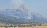 Canadian woman arrested in Croatia after fire near Drniš, two others wanted