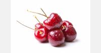 Jujuy aims to kick off South America's cherry season