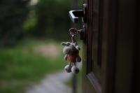 Legal Age To Leave Kids Home Alone In Texas Amarillo