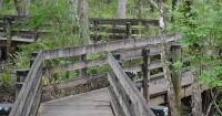 Six Mile Cypress Slough Preserve boardwalk maintenance work rescheduled