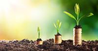Cash in circulation rises 9% in Albania