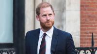 Prince Harry’s ‘The Wasp’ rival stepping down but may remain ‘a voice in the king’s ear’: expert