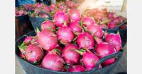 Vietnam prepares for tighter E.U. pesticide residue limits
