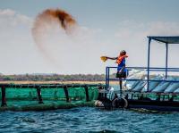Africa’s Blue Economy Takes Shape: Fisheries, Aquaculture and Marine Industries Create New Opportunities