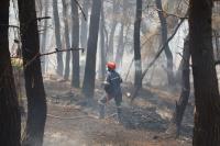 Halkidiki Wildfire: Damage Assessments Begin, State Aid Opens for Businesses