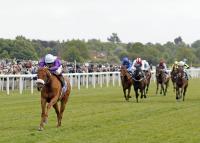 See The Fire to be Offered in Sceptre Sessions at Tattersalls December Mares Sale