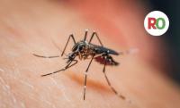 Why your next trip may need a yellow fever vaccine