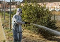 Andalusian health authorities urge people to avoid mosquito bites after detecting new West Nile virus cases