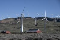 Trump administration pays billions to not build wind energy projects