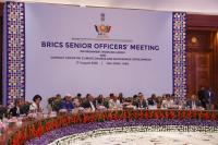 India highlights BRICS role in fighting climate change