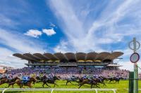 Where heritage meets diplomacy: The Qatar Goodwood Festival and the UK–Middle East partnership