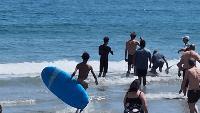 Stranded marine mammal sparks dramatic rescue on Rhode Island beach