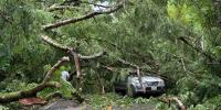 Hawaii officials remind residents to file insurance claims promptly after Storm Lala damage