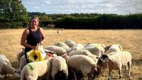 Farmers need support on drought and Bluetongue