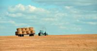 Two weeks left for Northern Ireland farms to access DAERA funding