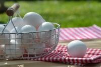 Global Eggs’ Hevo Group enters Germany
